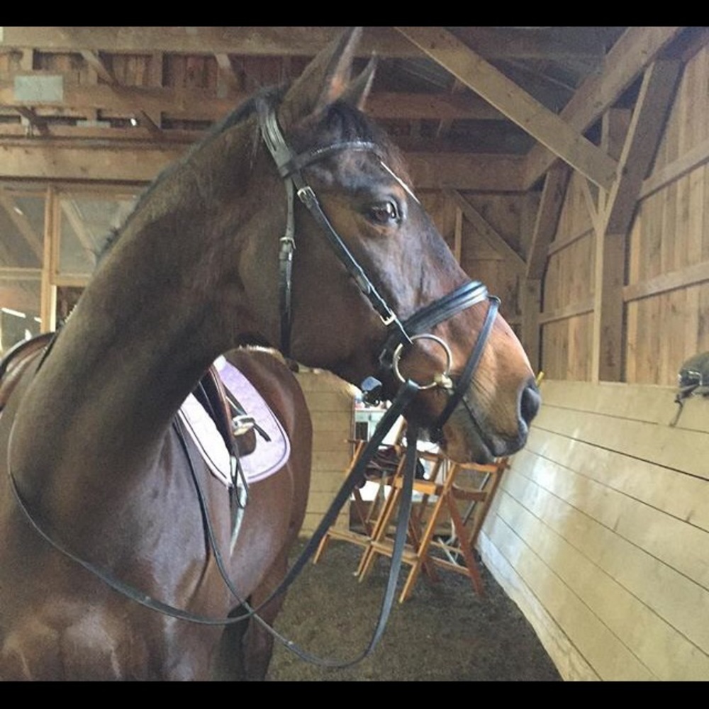 Meet your Posher, Tiggy